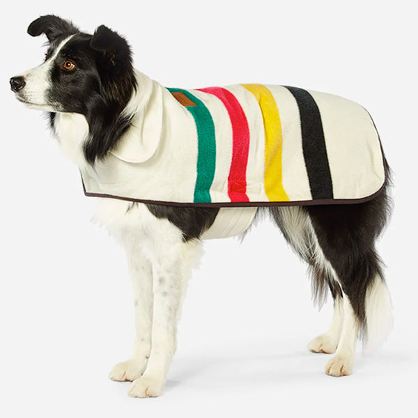 Border Collie wearing a pendleton dog coat in glacier national park patterns.