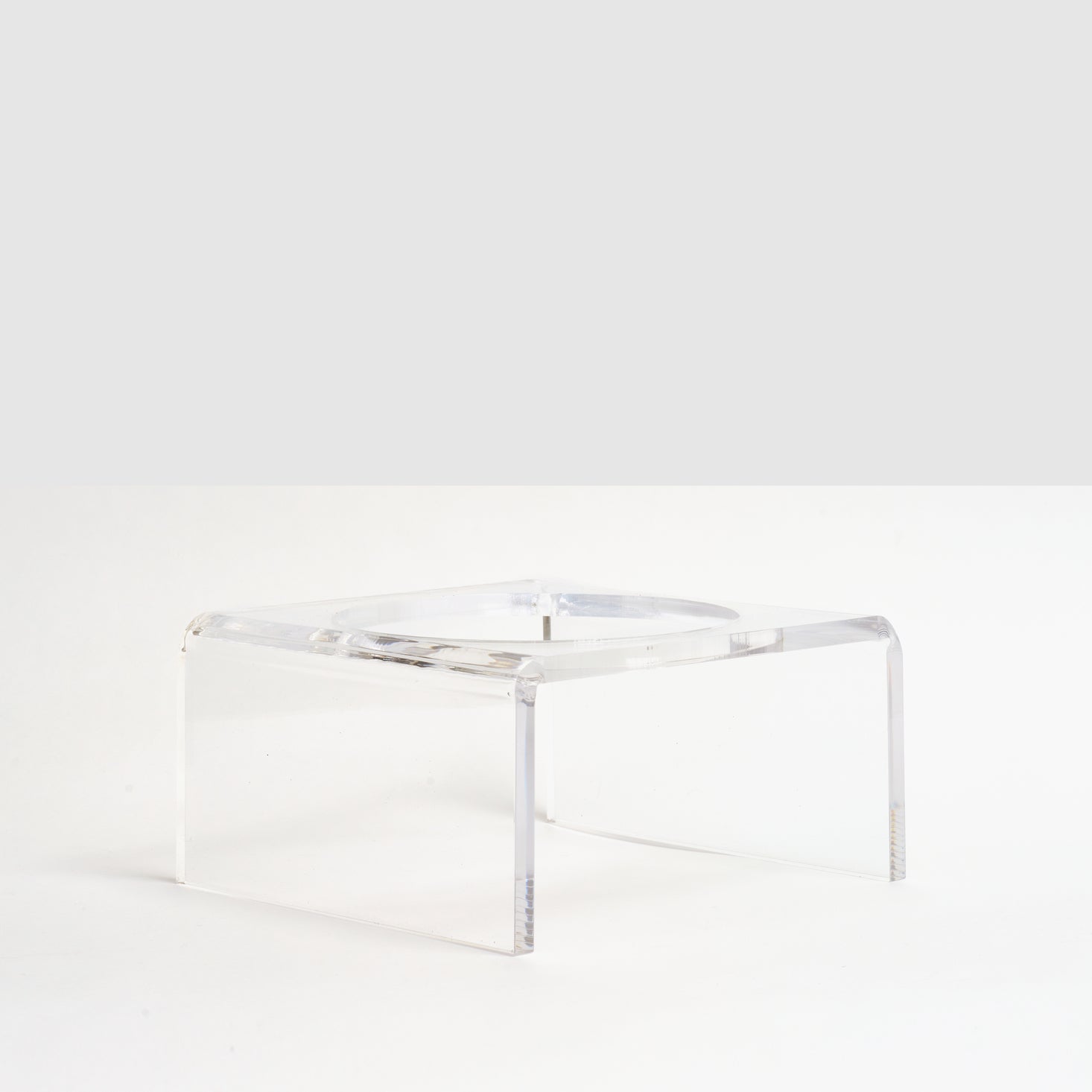 Stainless Steel Elevated Dog Bowl with Stand