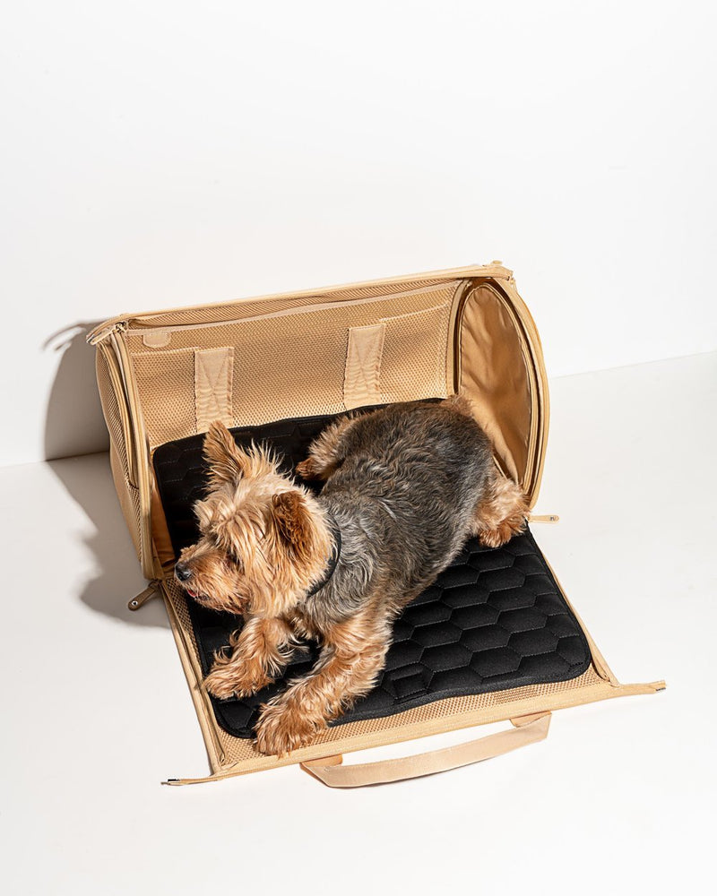 TSA approved designer dog carrier