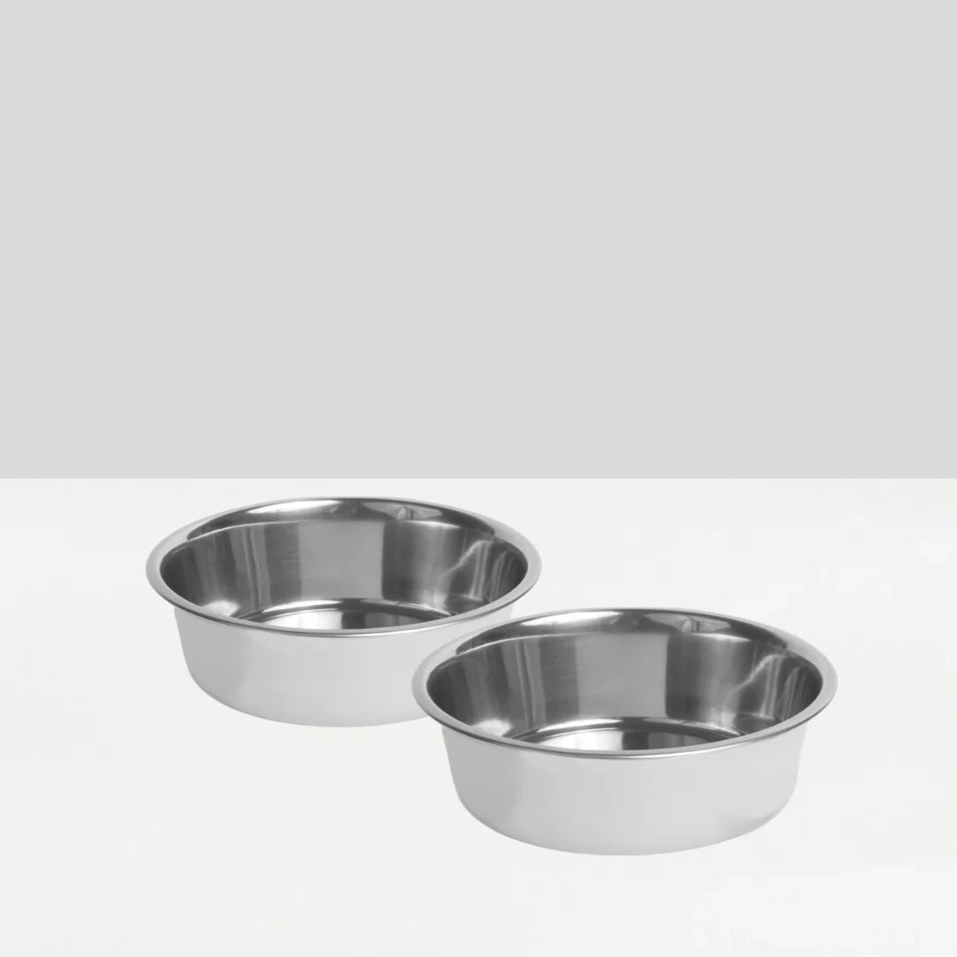 Medium Height Double Dog Bowl Feeder with Silver Stainless Steel Bowls & Acrylic Stand