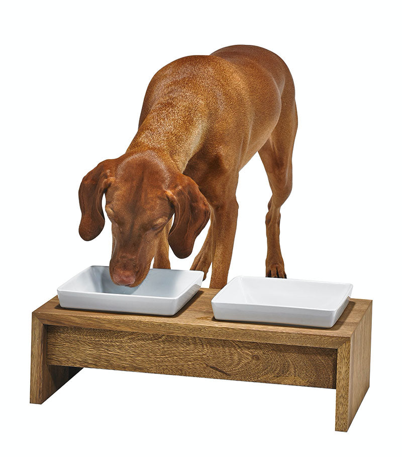 Elevated Dog Bowls with Stand, Raised Dog Feeder for Large Medium Dogs, Oak