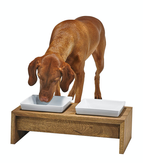Large dog eating from Boswers elevated chic dog feeder with ceramic bowls