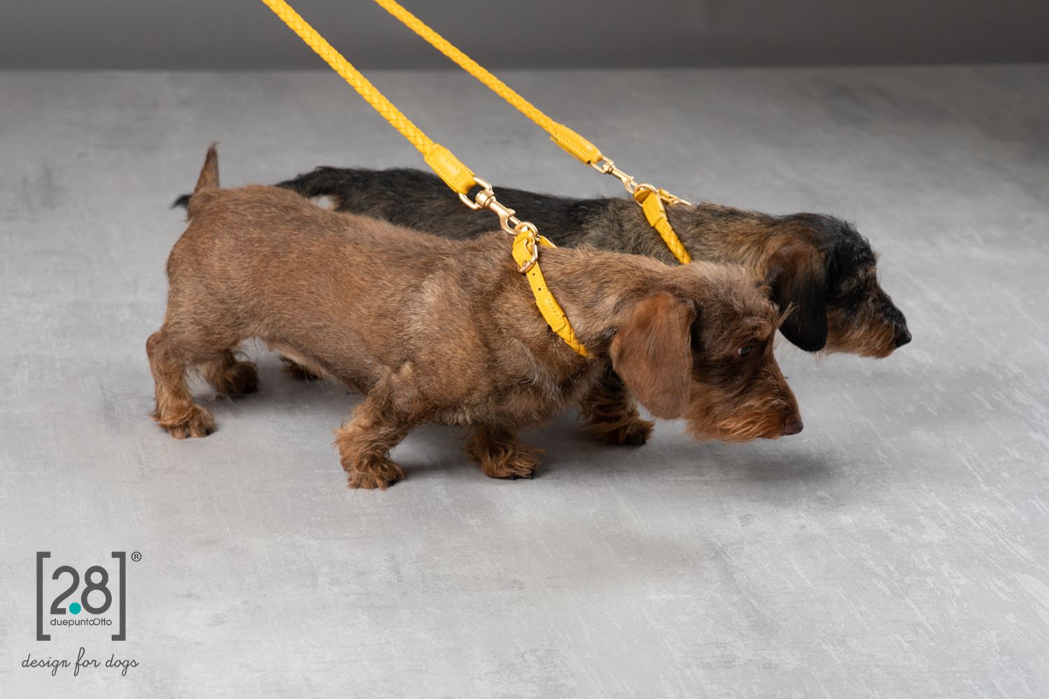 Due Punto Otto dog leash and collar set in yellow color.
