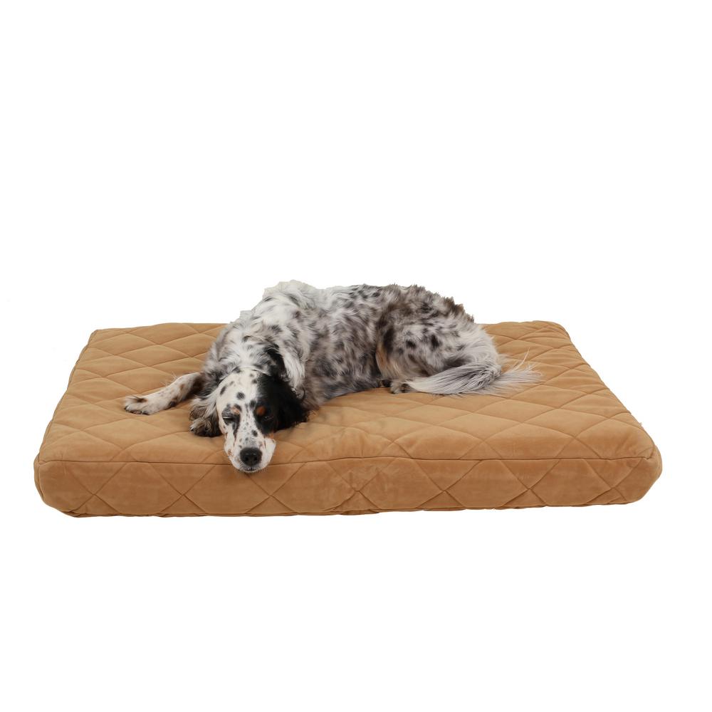 Large dog on an orthopedic brown dog mattress