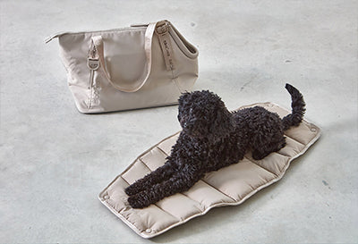 Designer Dog Carrier 