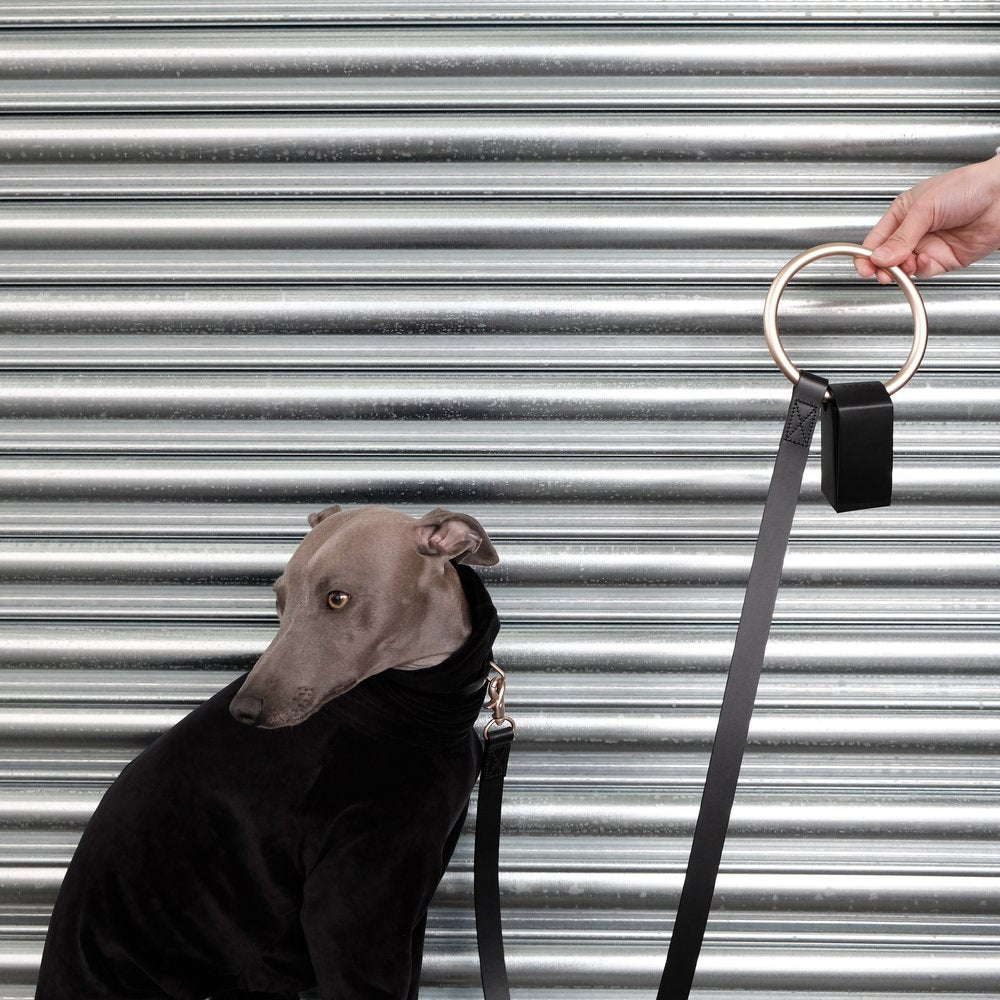 Best gift for dog owners