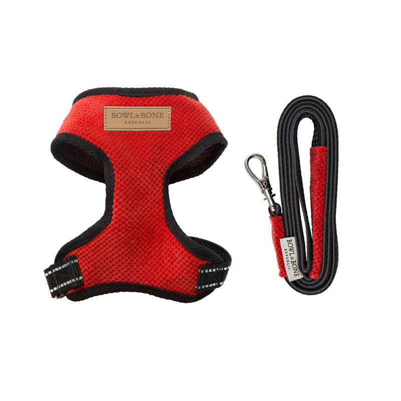 Candy Dog Harness Set