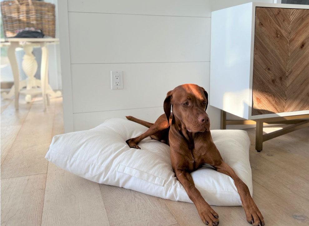 Washed White Cotton Linen Dog Cushion – Stylish, Durable Comfort for Large Dogs