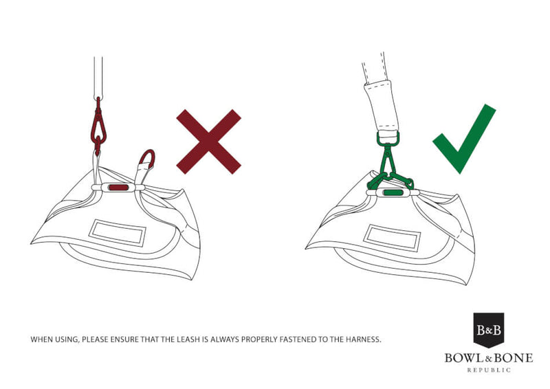 Instructions for the dog harness