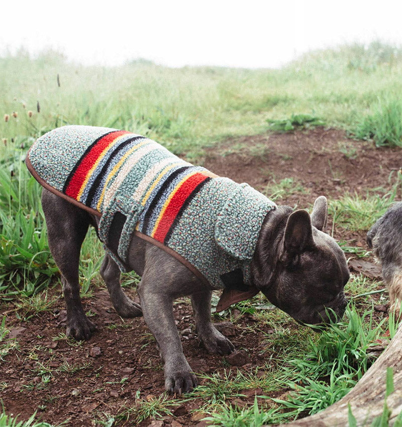 Pendleton Yakima Camp Dog Coat