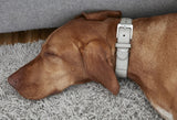 Leather dog collar from Miacara