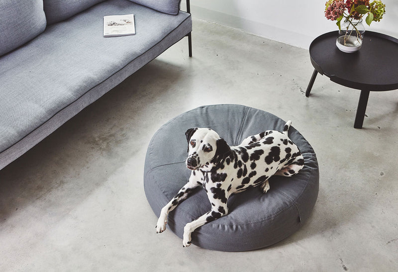 Designer dog bed for modern homes from Miacara