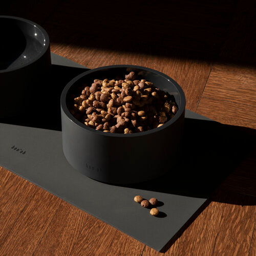 Non toxic stylish dog bowl