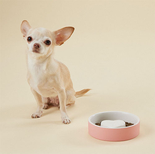 http://wunderpetscompany.com/cdn/shop/products/paikka-slow-feeder-for-dogs-pink_1024x.jpg?v=1637105099