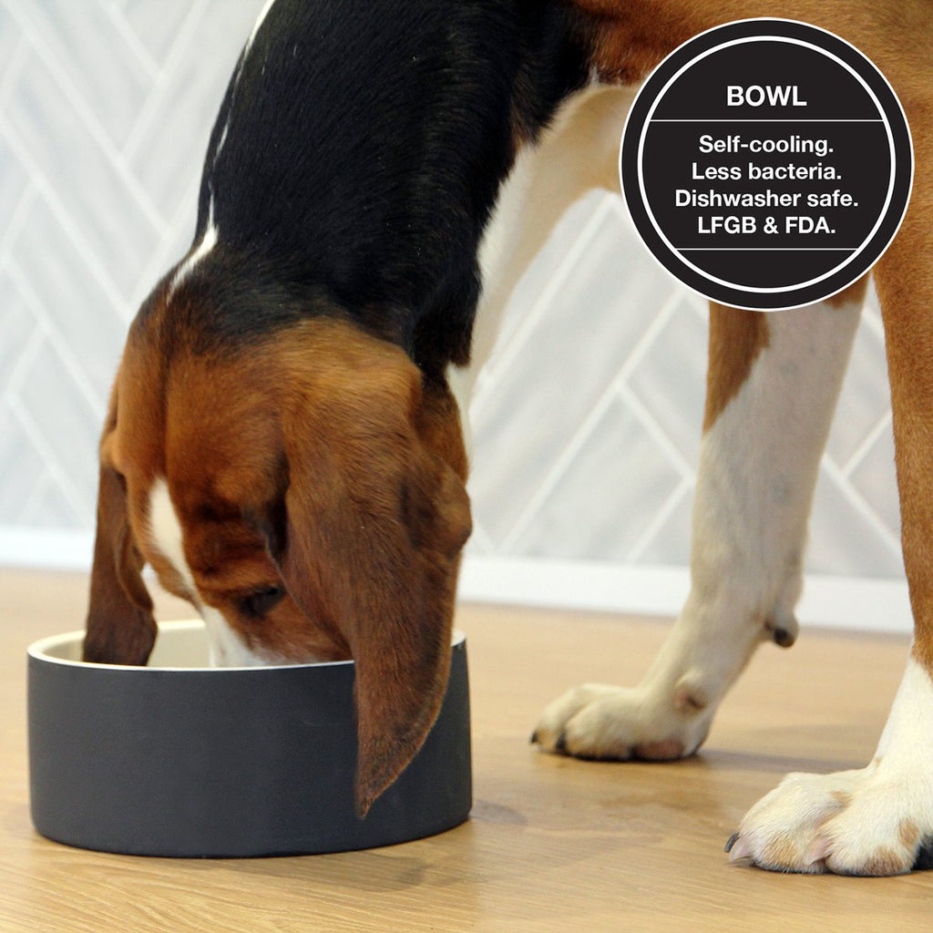 PAIKKA Medium Dog Food and Water Bowls