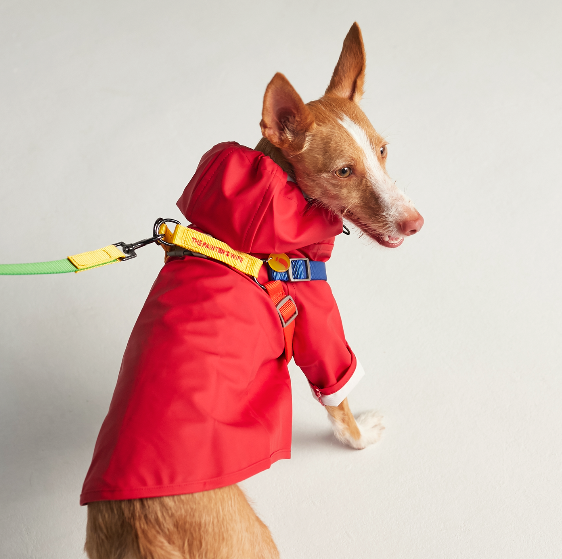 Joules dog rain shop coat