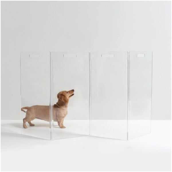 Dachsund standing behind freestanding acrylic clear pet gate in modern style from Hiddin.