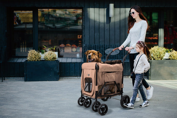 Woman walking her large size senior dog in a stroller