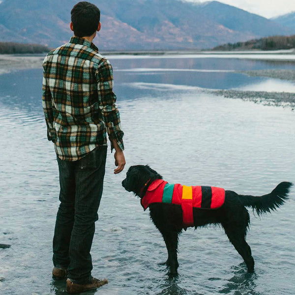 Pendleton dog coat