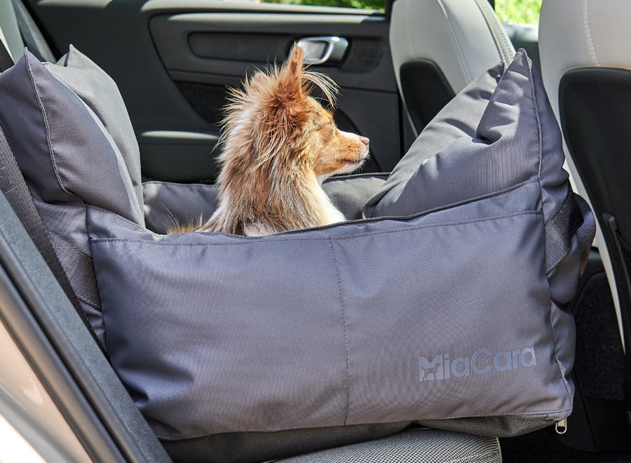 Dog Travel Beds, Mats and The Best Car Seats