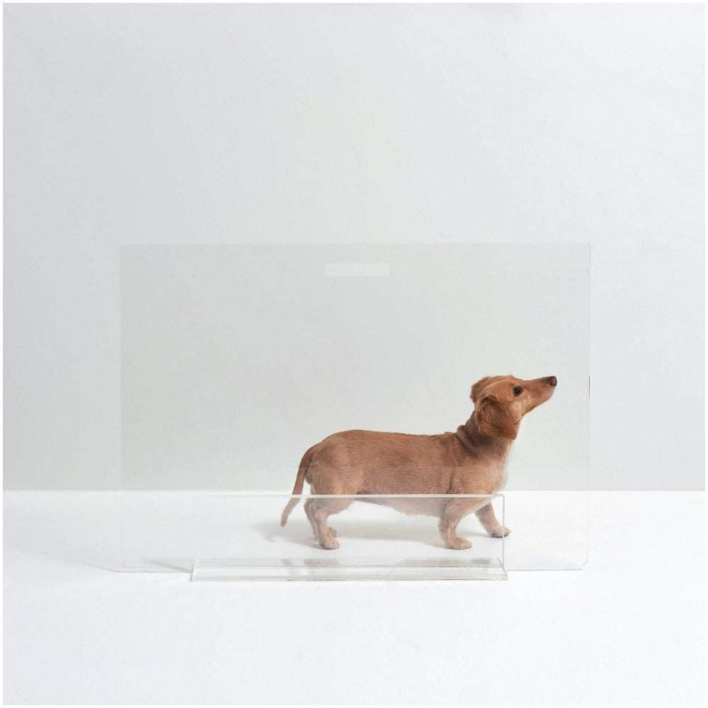 Why Hiddin Clear Acrylic Dog Gates are a Home Decor Investment