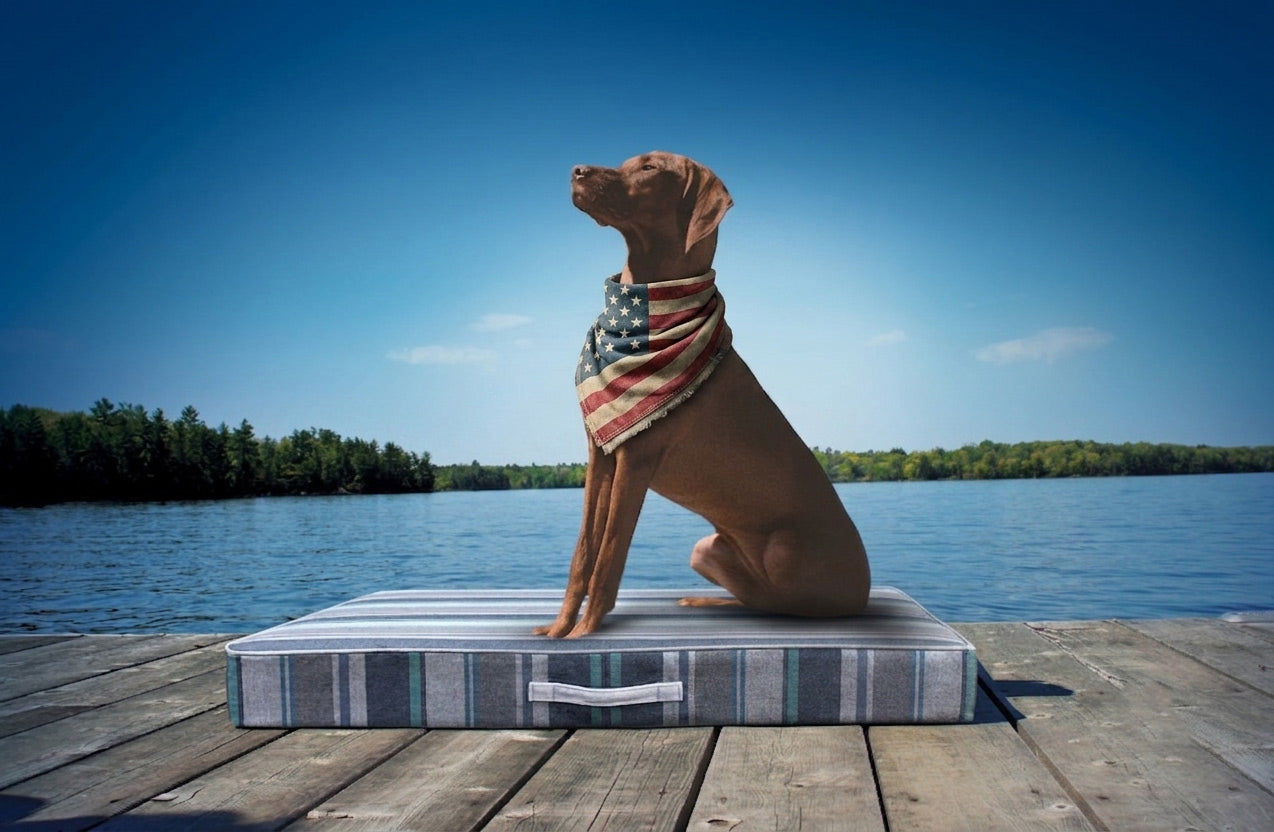 Summer Pet Essentials Sale