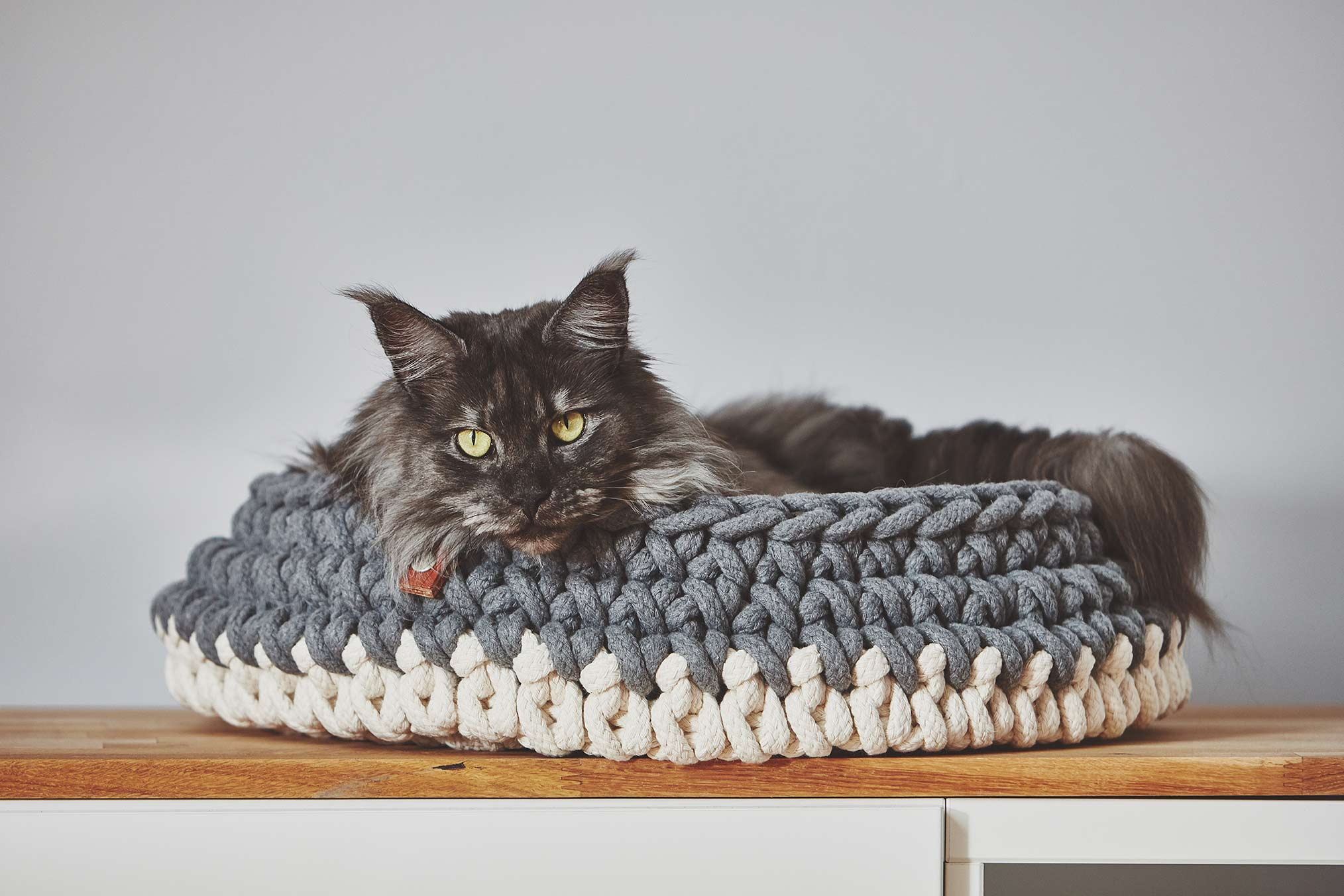 Cat sleeping on a luxury Miacara cat bed