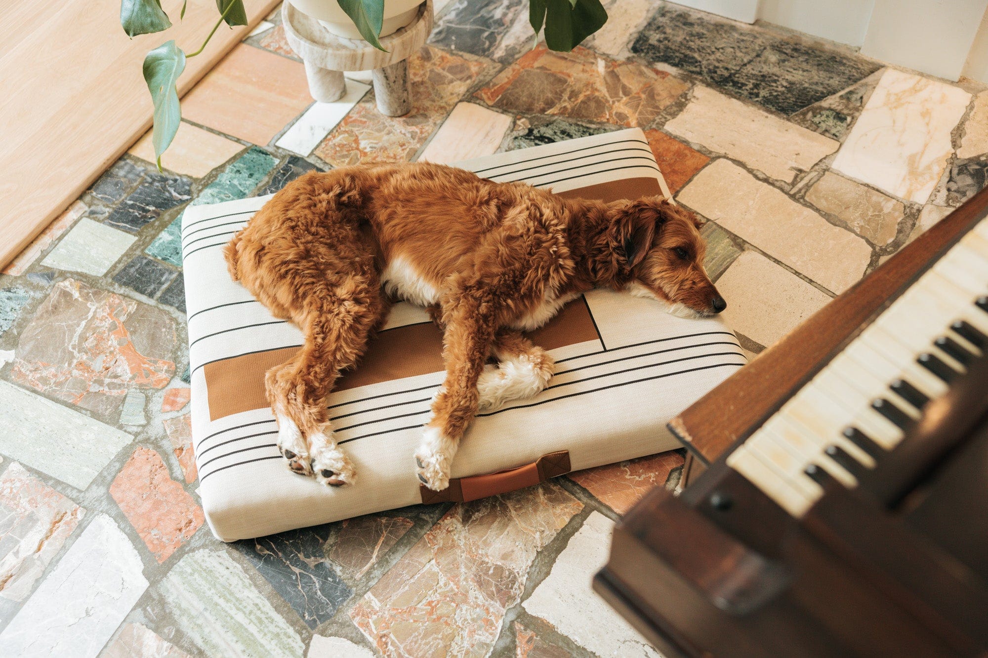 Designer Beds by Lay Lo Pets