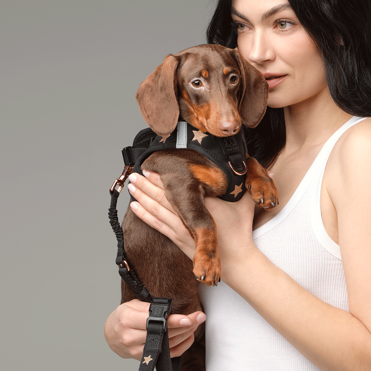 Woman holding a dachshund in the Rockstar harness