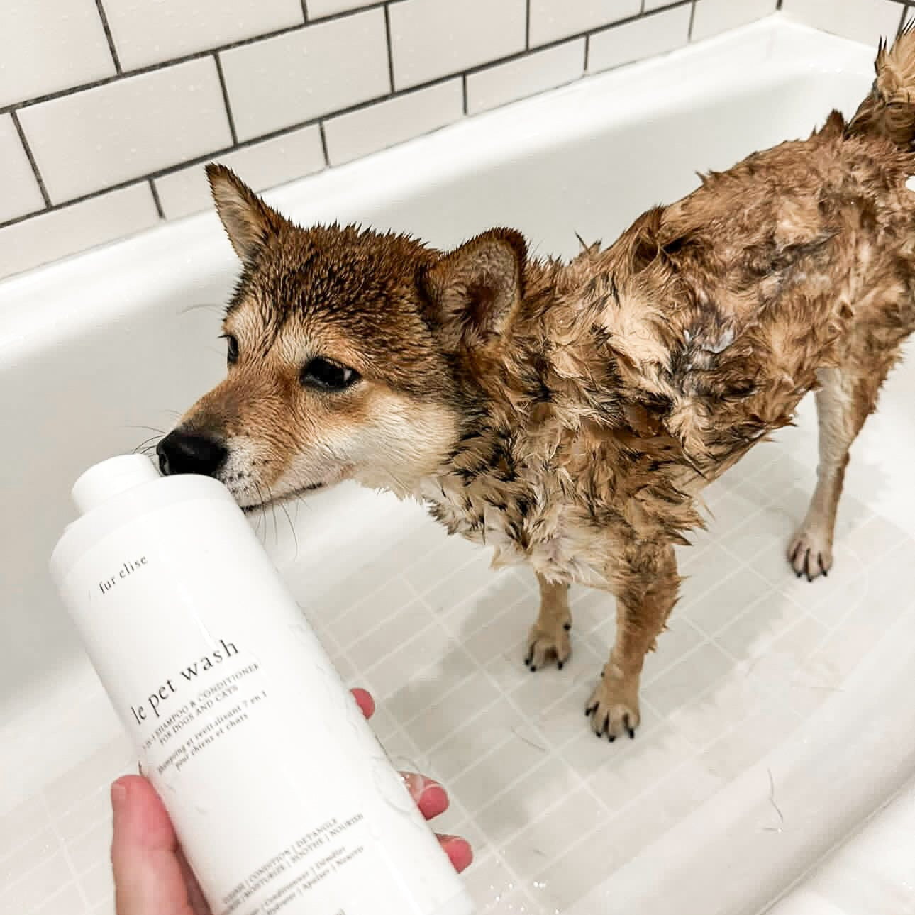 Plant Powered Le Pet Gentle Shampoo For Sensitive Skins