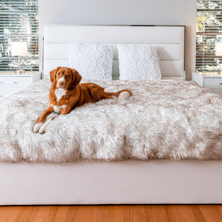 PupProtector waterproof dog blanket in white with brown accents, photo 10