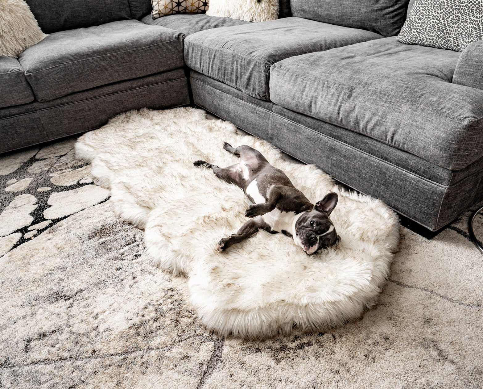Puprug Orthopedic Faux Fur Memory Foam Dog Bed - Curve White with Brown Accents