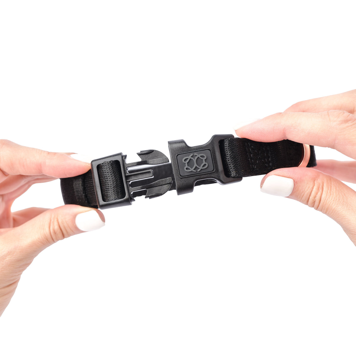 Fastening the black City collar buckle