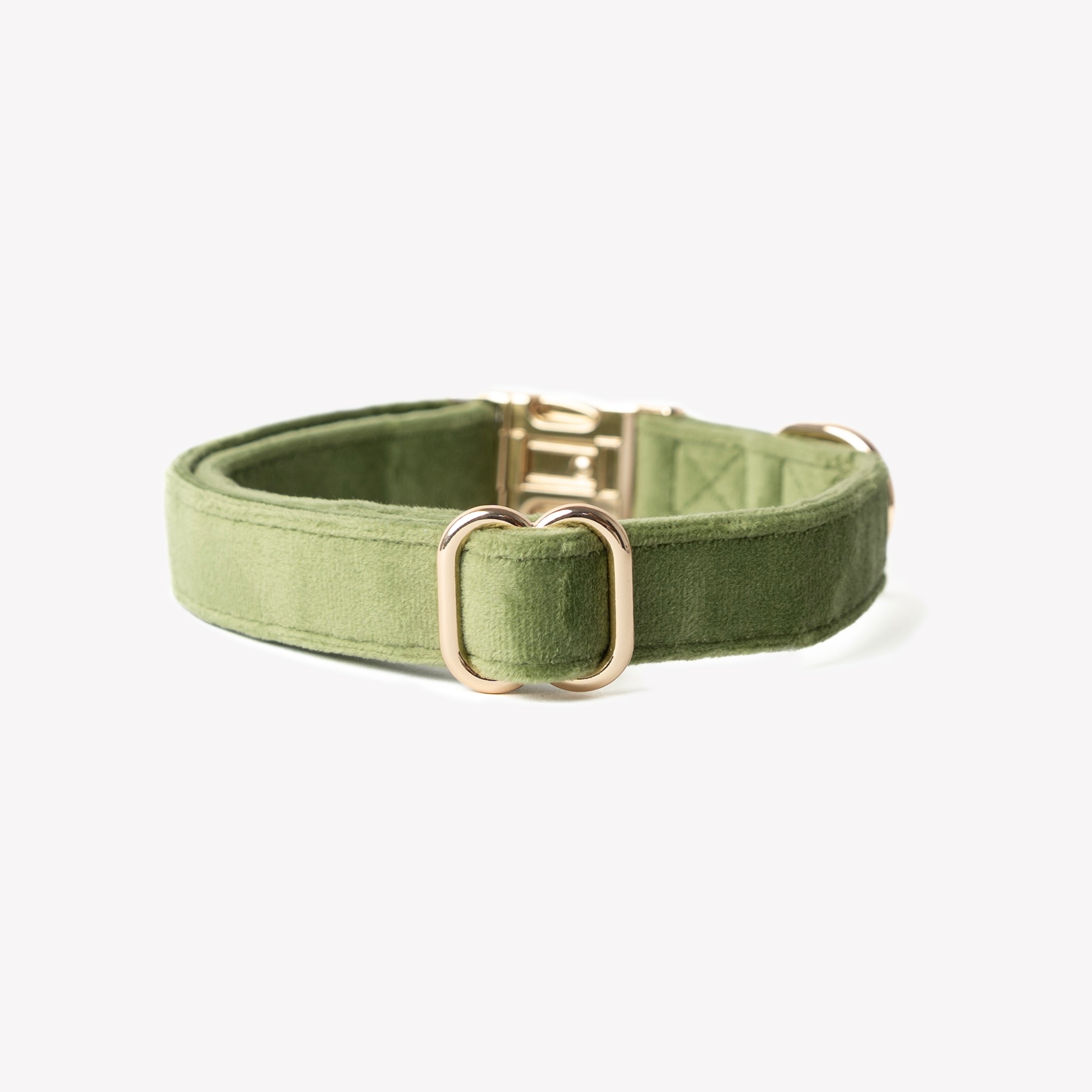 Luxury Velvet Dog Collar | Chic Green