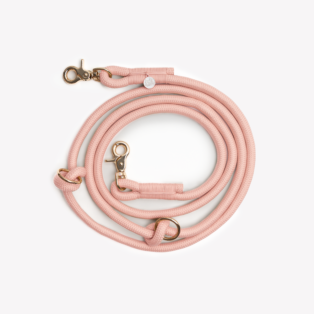 Pink dog leash with gold clasp on a white background