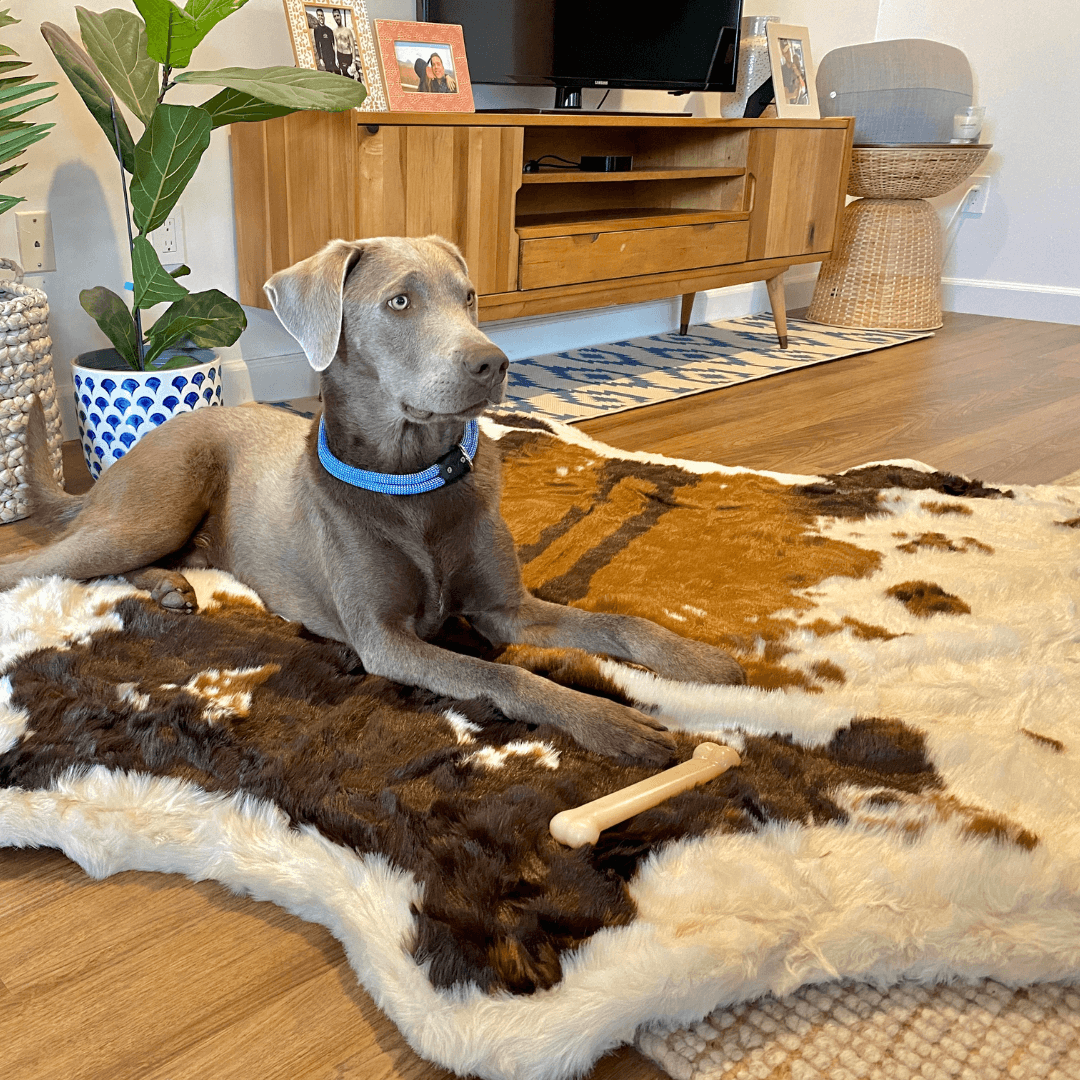 PupRug Memory Foam Dog Bed - Brown Faux Cowhide Cover