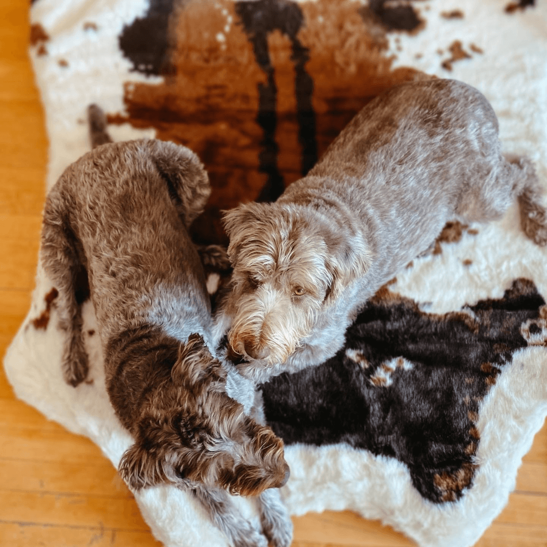 PupRug Memory Foam Dog Bed - Brown Faux Cowhide Cover