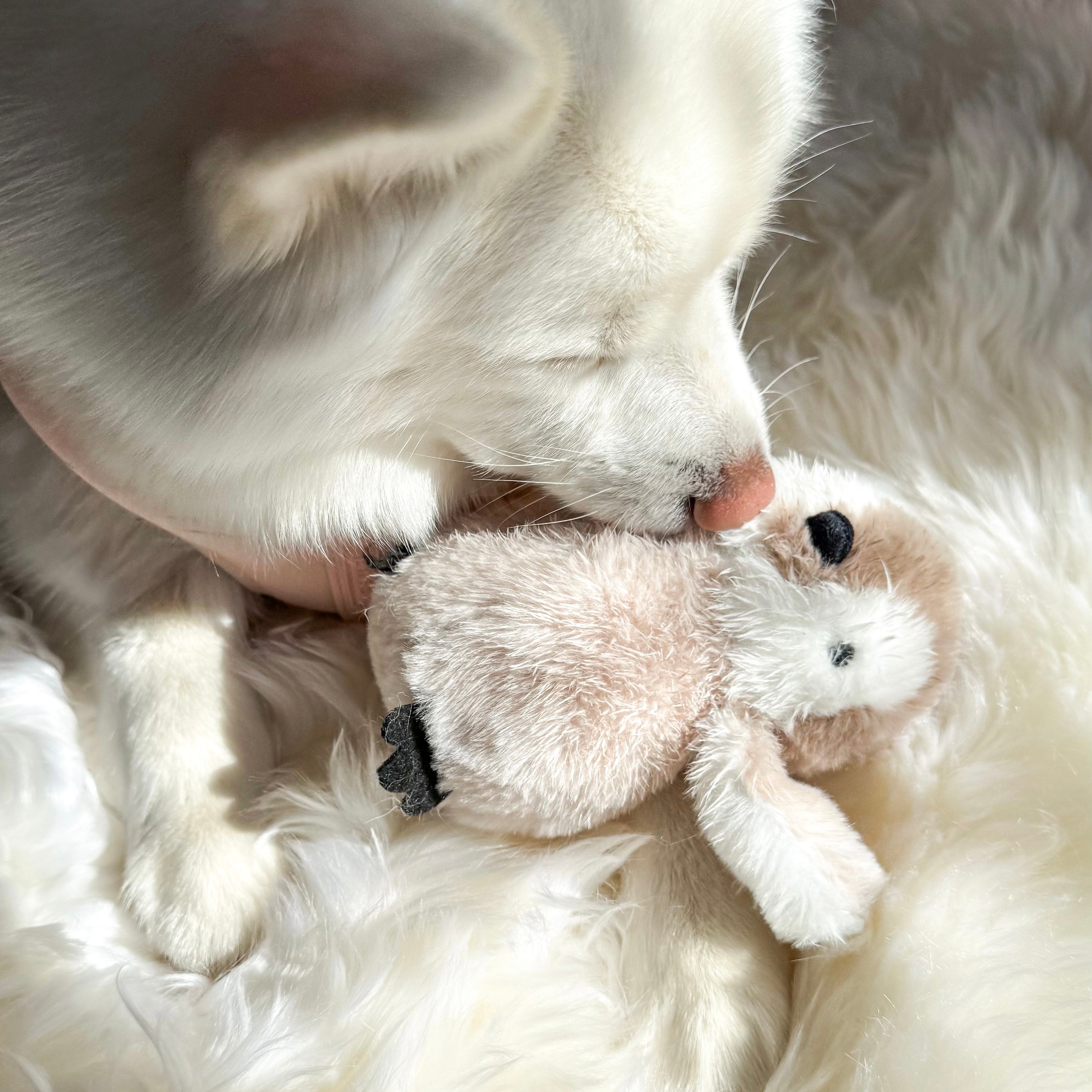 Pegy Mini Plushie Dog Toy | Perfect Puppy Gift