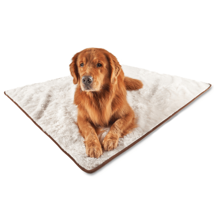 Large dog lying on a soft fluffy pet blanket with a white background