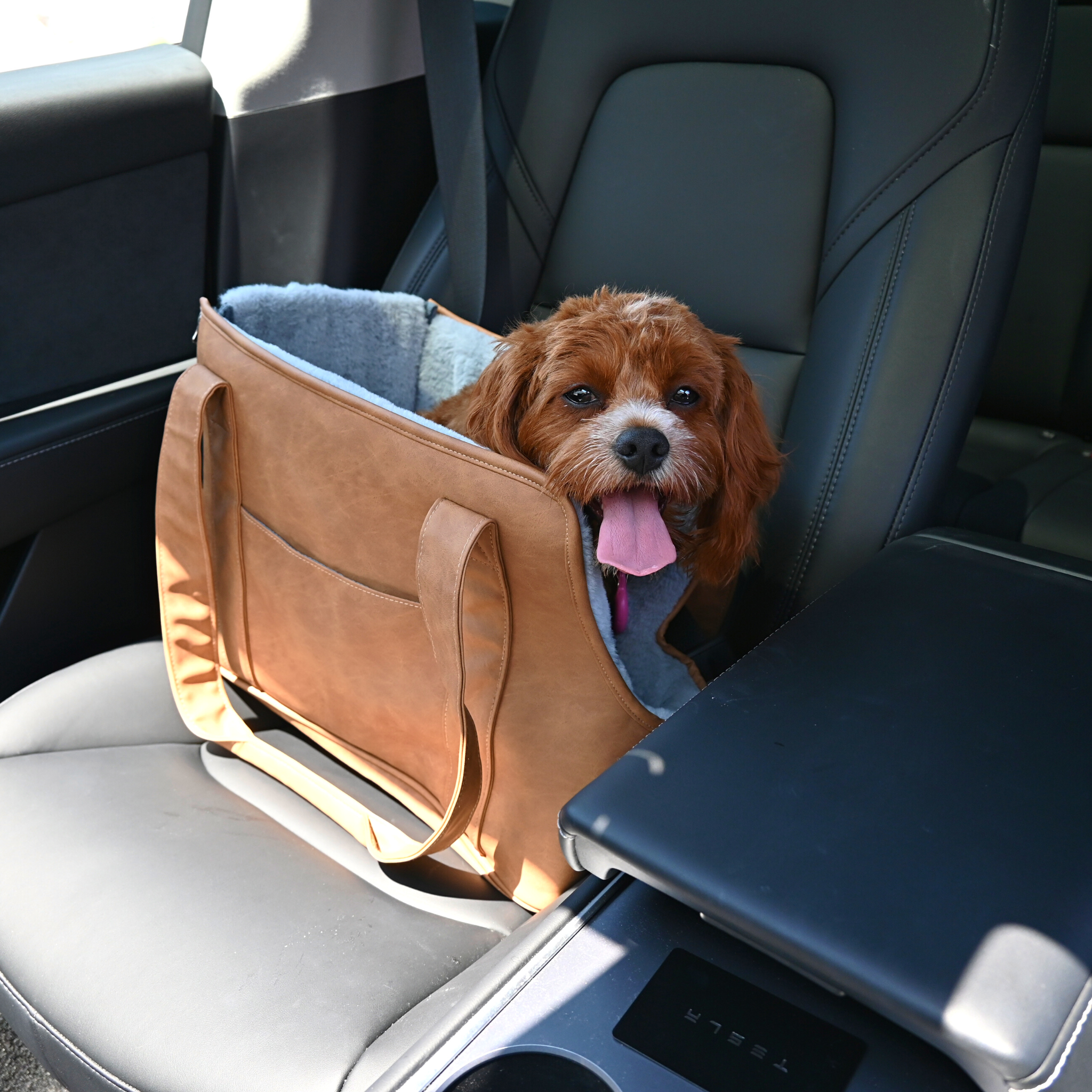 PupTote Faux Leather Small Dog Carrier Bag