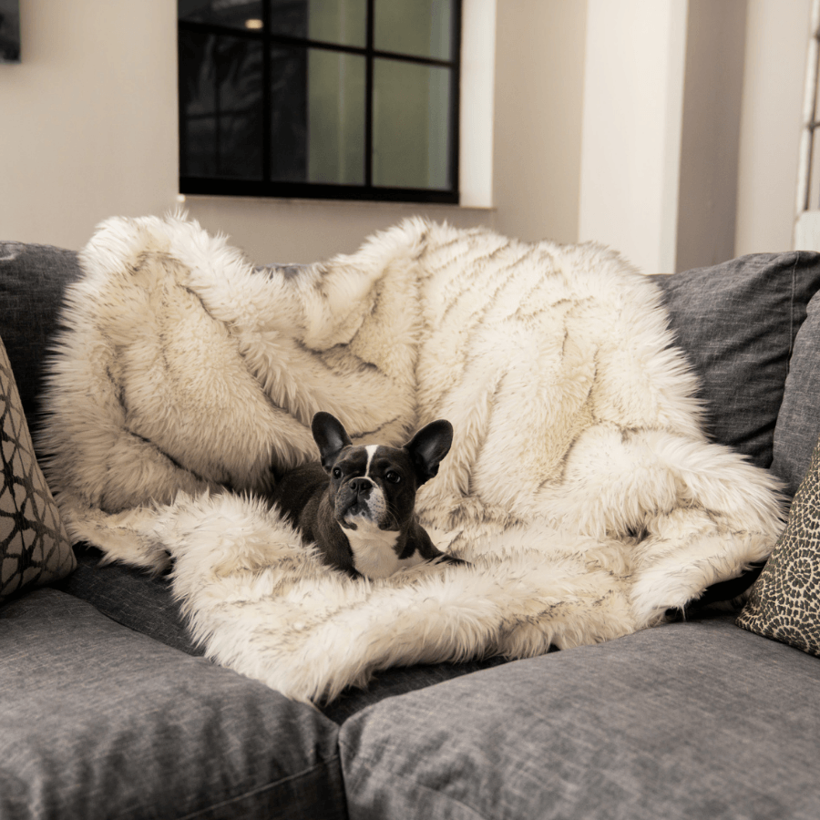PupProtector waterproof dog blanket in white with brown accents, photo 4