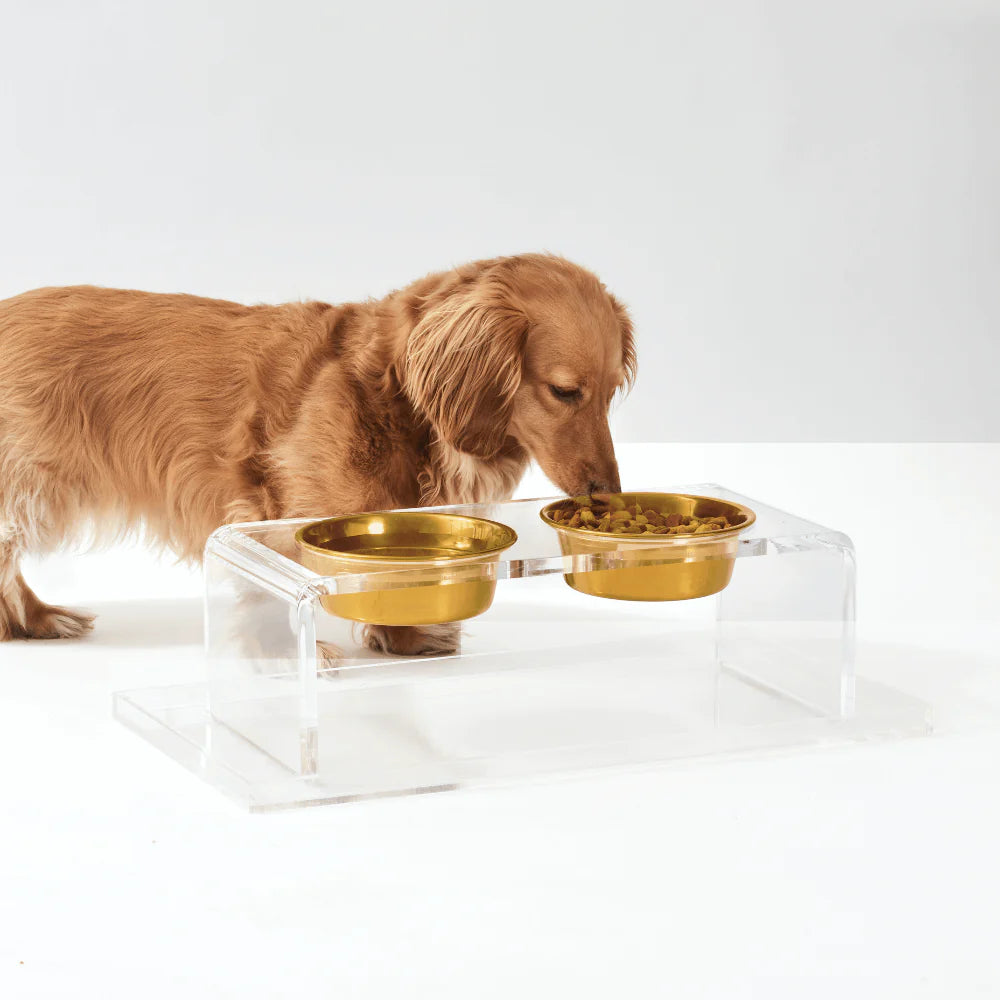 Elevated Double Pet Bowl Feeder with Gold Bowls