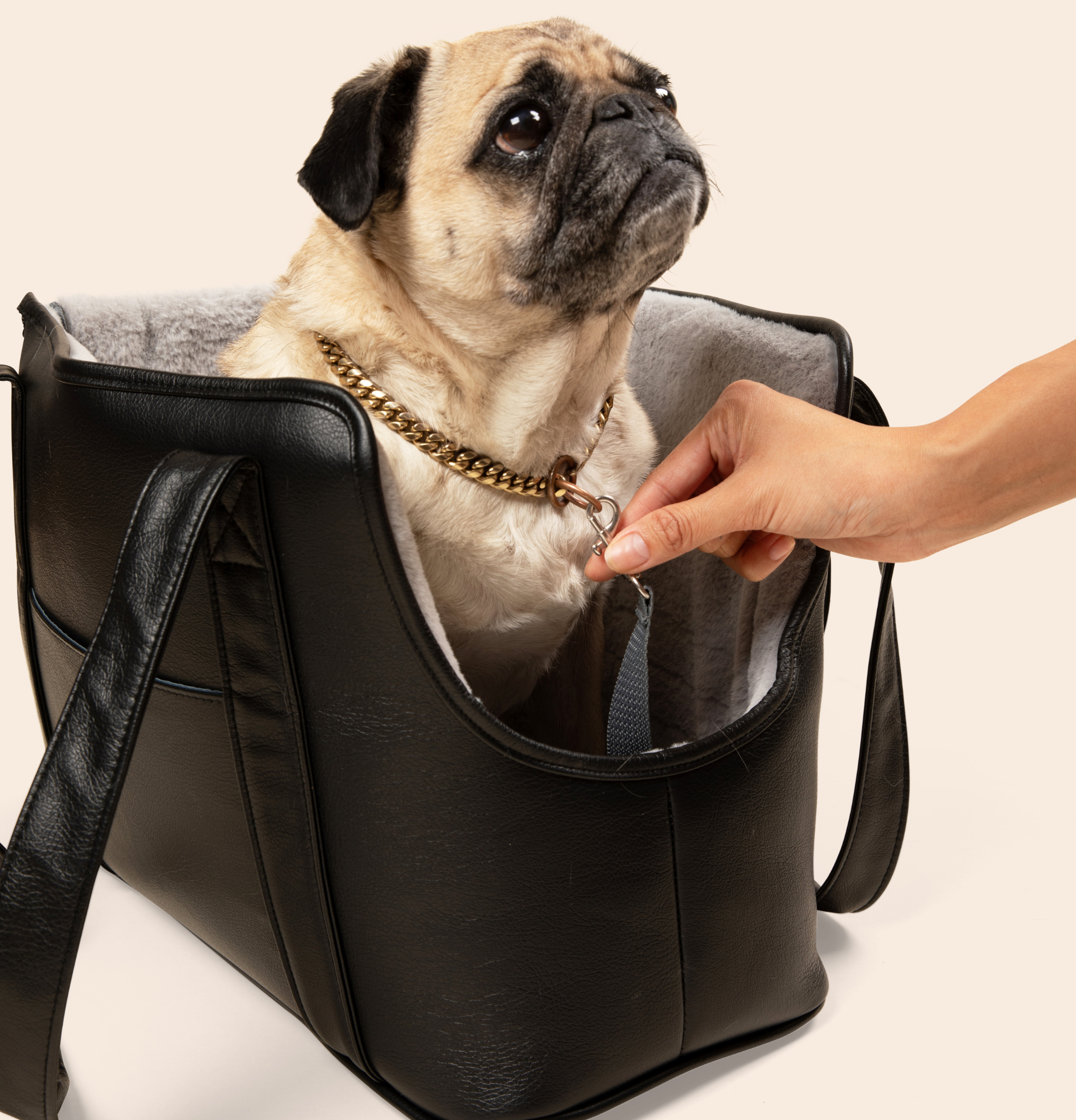 PupTote Faux Leather Small Dog Carrier Bag