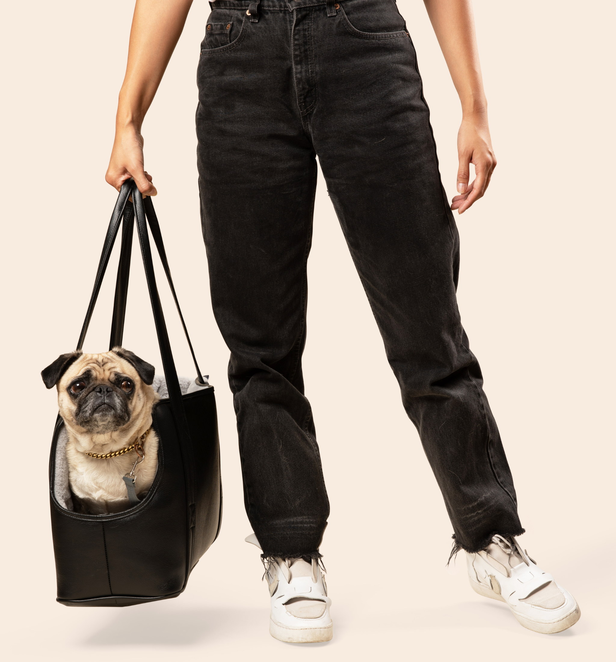 PupTote Faux Leather Small Dog Carrier Bag