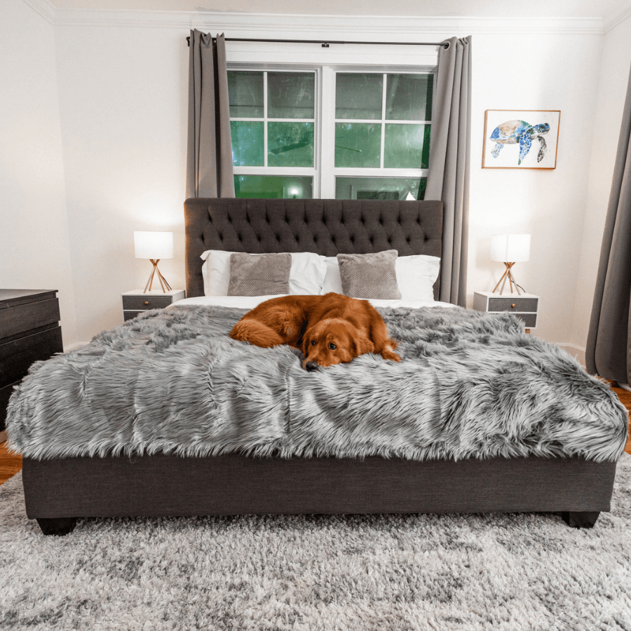 PupProtector waterproof dog blanket in charcoal grey, photo 6