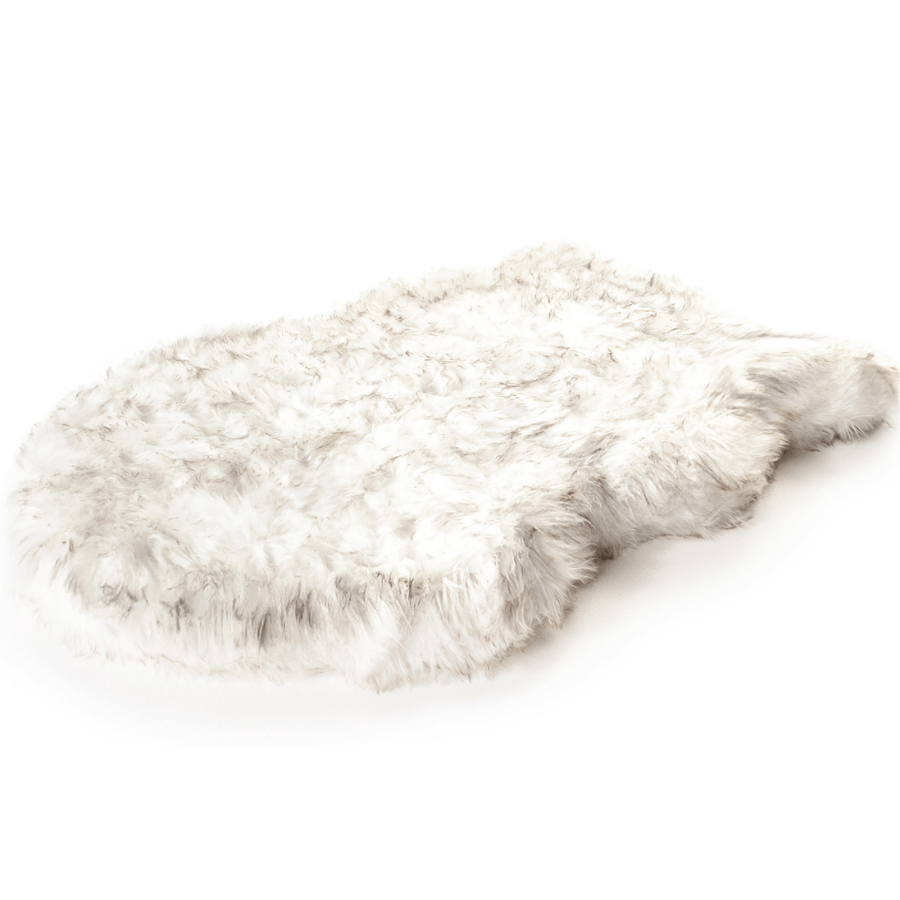 Puprug by paw brands dog bed as a rug