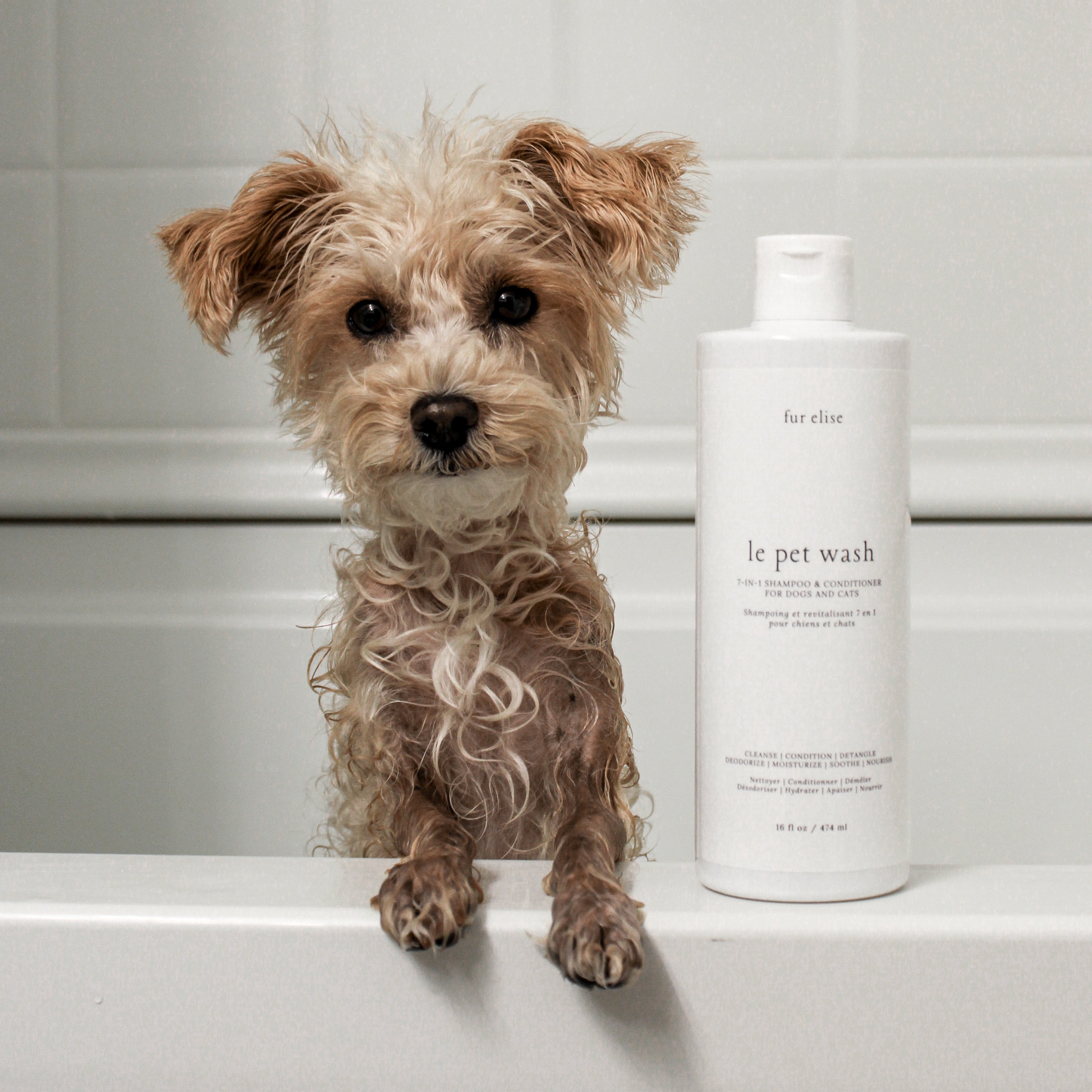 Plant Powered Le Pet Gentle Shampoo For Sensitive Skins