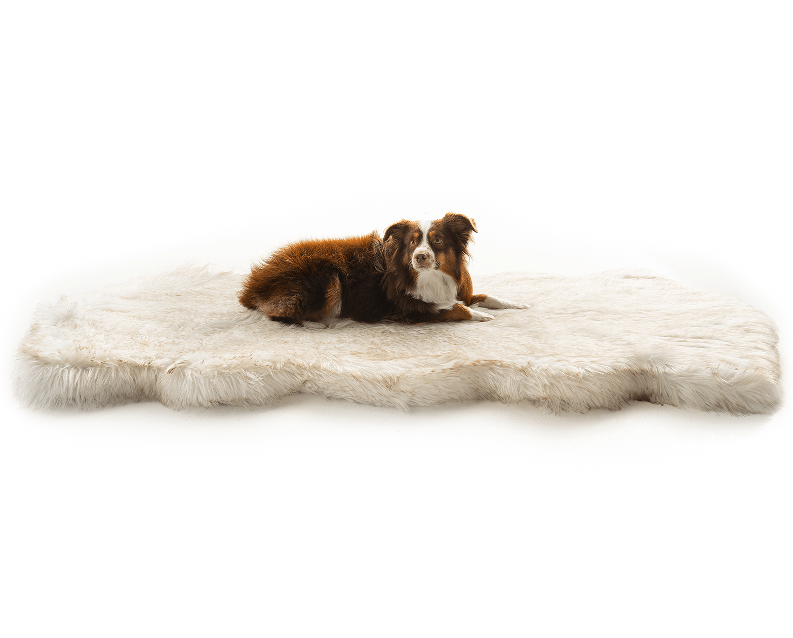 Puprug Orthopedic Faux Fur Memory Foam Dog Bed - Curve White with Brown Accents