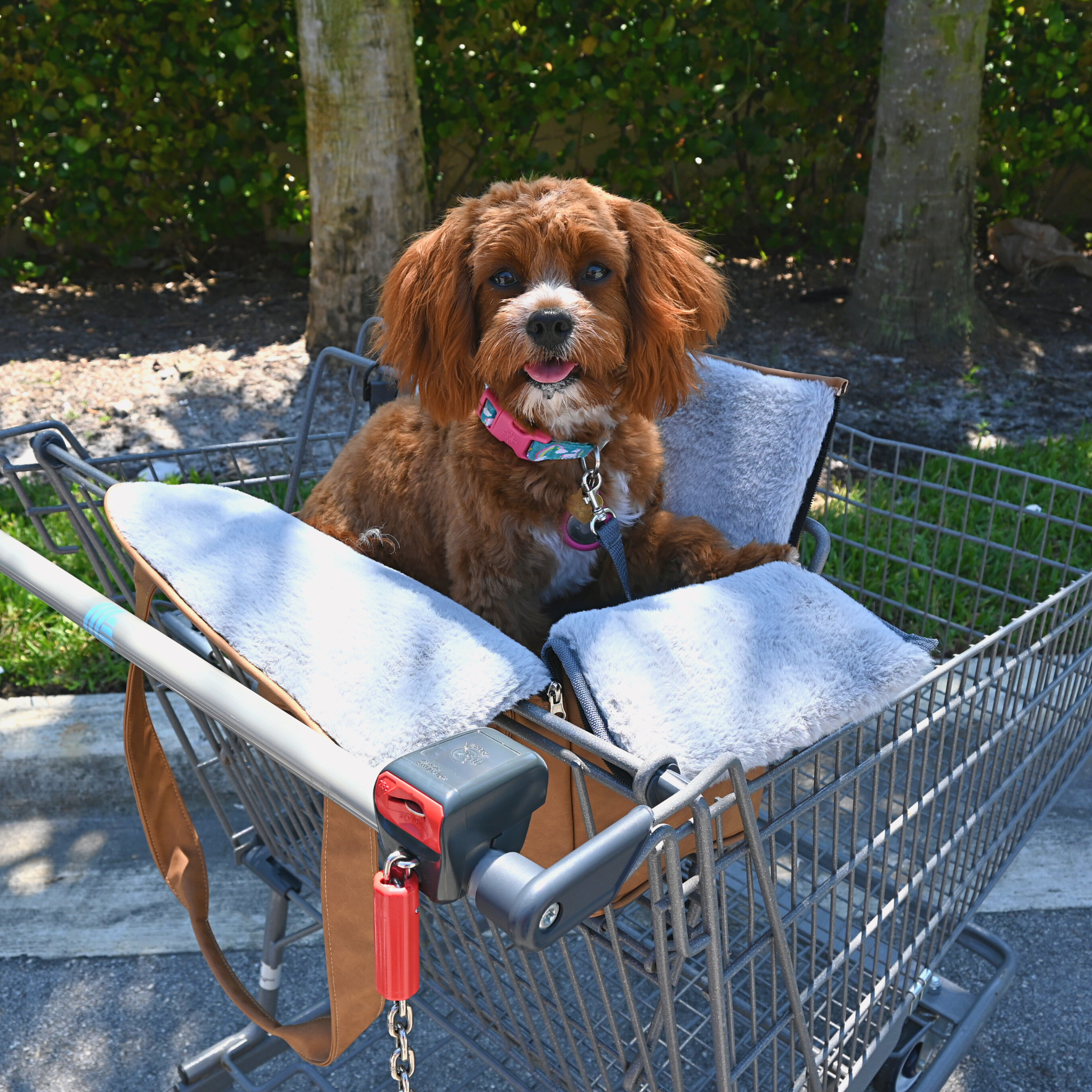PupTote Faux Leather Small Dog Carrier Bag