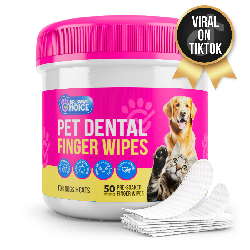 Jar of Dr. Paws Choice Pet Dental Finger Wipes with pink lid and product packaging on a white background.